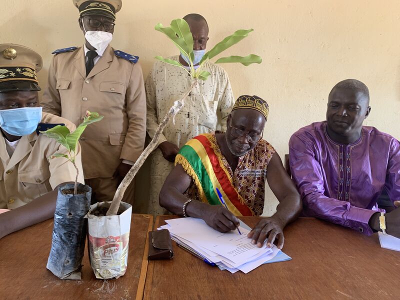 Autonomisation économique des femmes rurales productrices de beurre de karité du Cercle de Kadiolo 